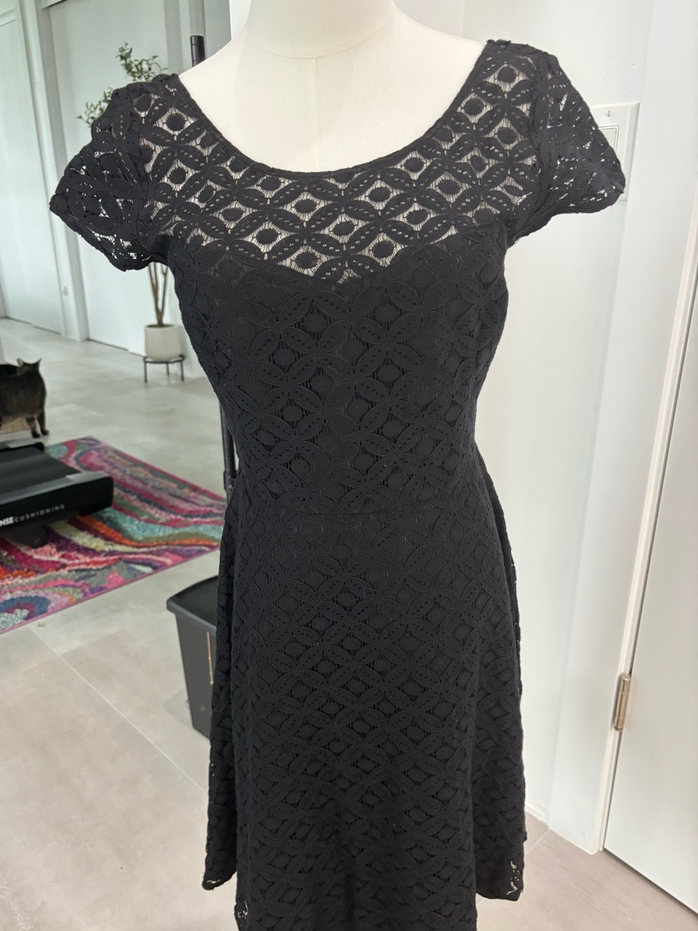 White House Black Market Black Lace Scoop-Neck Fit & Flare Dress